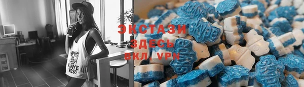индика Кинешма