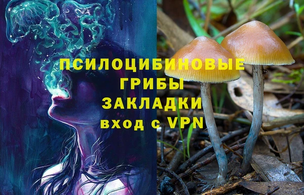 сатива Абдулино