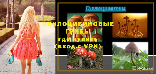сатива Абдулино