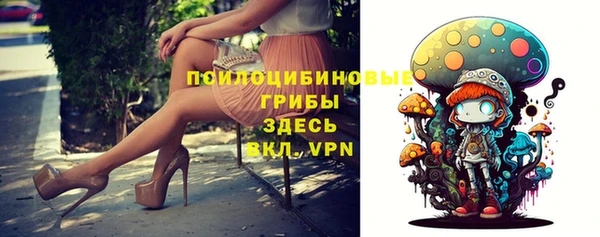сатива Абдулино