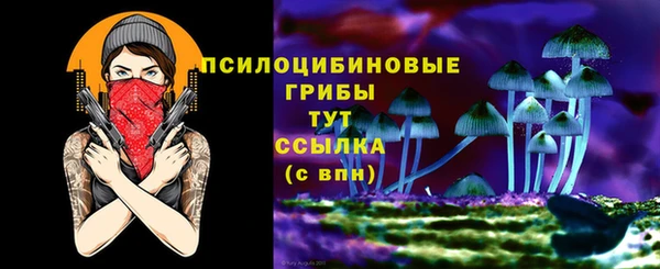 сатива Абдулино