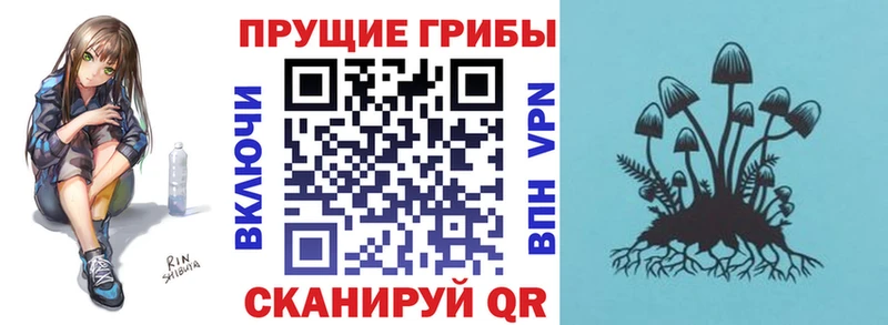 Псилоцибиновые грибы Cubensis  Усмань 